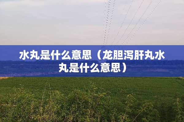 水丸是什么意思（龙胆泻肝丸水丸是什么意思）
