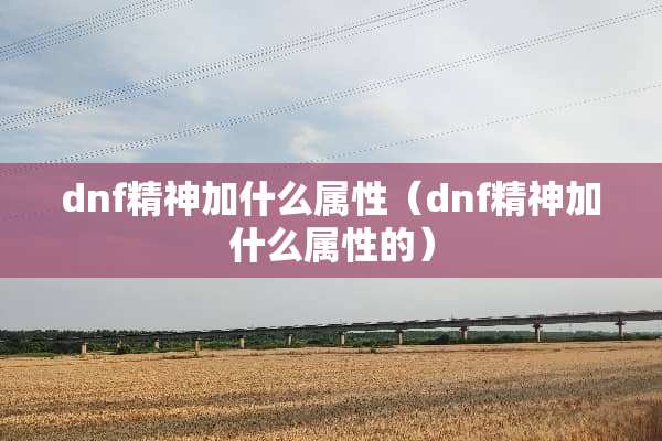 dnf精神加什么属性（dnf精神加什么属性的）
