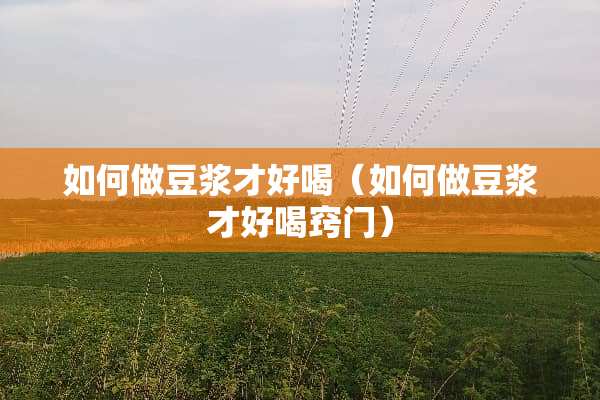 如何做豆浆才好喝（如何做豆浆才好喝窍门）