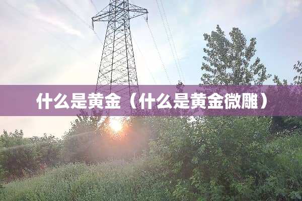 什么是黄金（什么是黄金微雕）