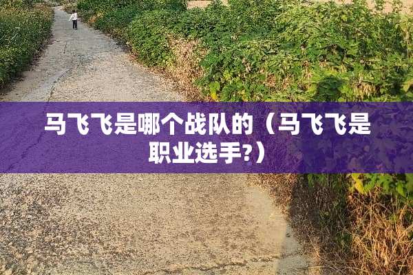 马飞飞是哪个战队的（马飞飞是职业选手?）