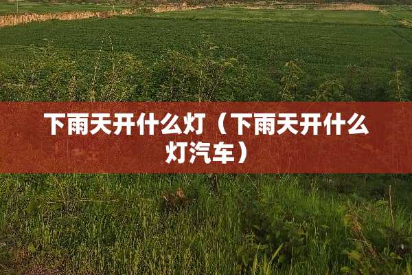 下雨天开什么灯（下雨天开什么灯汽车）