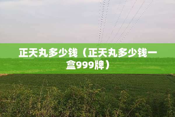 正天丸多少钱（正天丸多少钱一盒999牌）