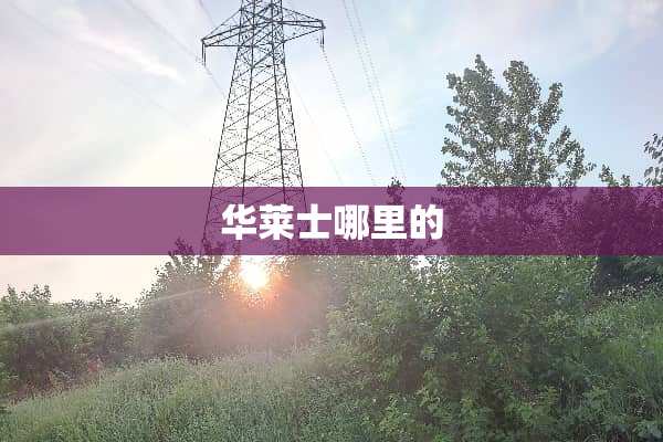 华莱士哪里的