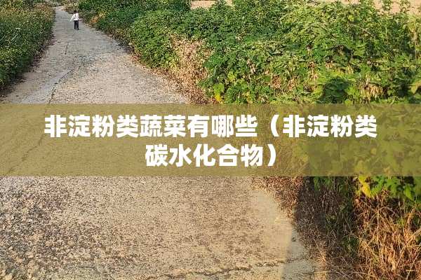 非淀粉类蔬菜有哪些（非淀粉类碳水化合物）