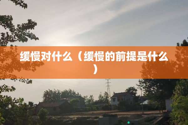 缓慢对什么（缓慢的前提是什么）