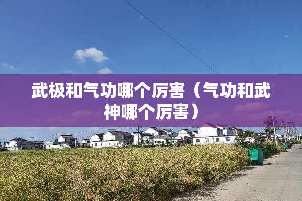 武极和气功哪个厉害（气功和武神哪个厉害）