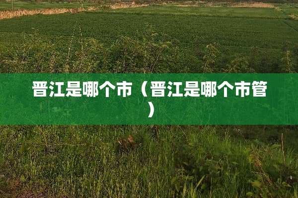 晋江是哪个市（晋江是哪个市管）