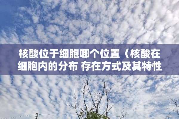 核酸位于细胞哪个位置（核酸在细胞内的分布 存在方式及其特性）