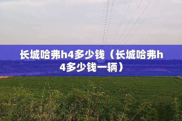 长城哈弗h4多少钱（长城哈弗h4多少钱一辆）