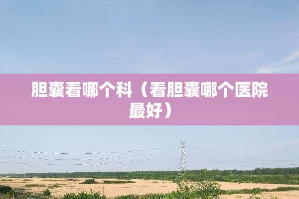 胆囊看哪个科（看胆囊哪个医院最好）