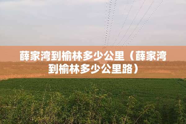 薛家湾到榆林多少公里（薛家湾到榆林多少公里路）