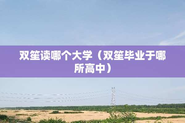 双笙读哪个大学（双笙毕业于哪所高中）
