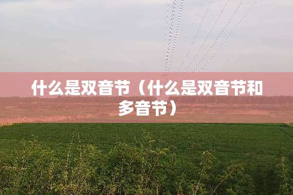 什么是双音节（什么是双音节和多音节）