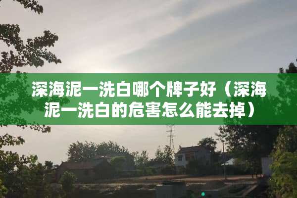 深海泥一洗白哪个牌子好（深海泥一洗白的危害怎么能去掉）