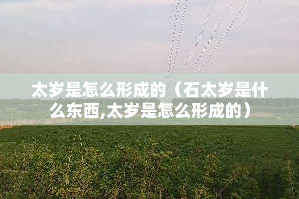 太岁是怎么形成的（石太岁是什么东西,太岁是怎么形成的）
