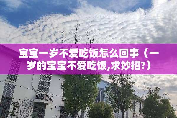 宝宝一岁不爱吃饭怎么回事（一岁的宝宝不爱吃饭,求妙招?）
