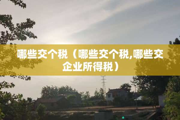 哪些交个税（哪些交个税,哪些交企业所得税）