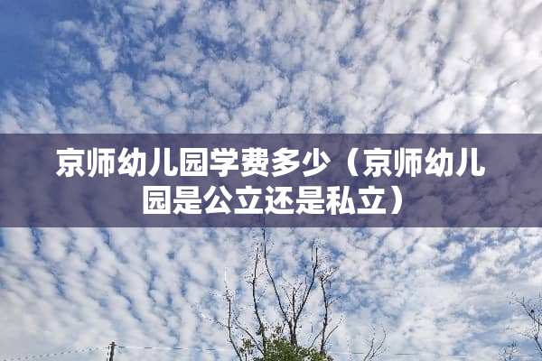 京师幼儿园学费多少（京师幼儿园是公立还是私立）