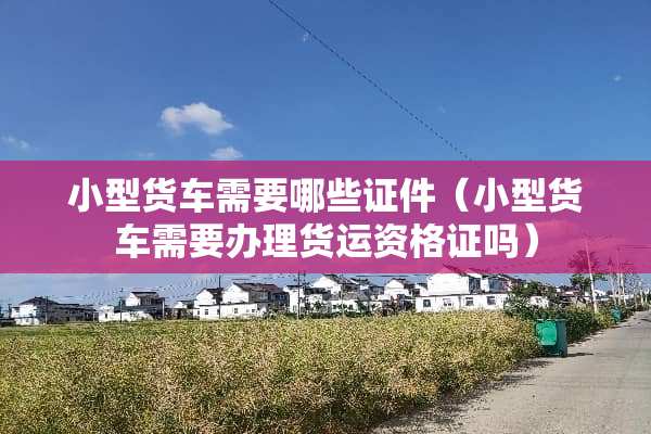 小型货车需要哪些**（小型货车需要办理货运资格证吗）