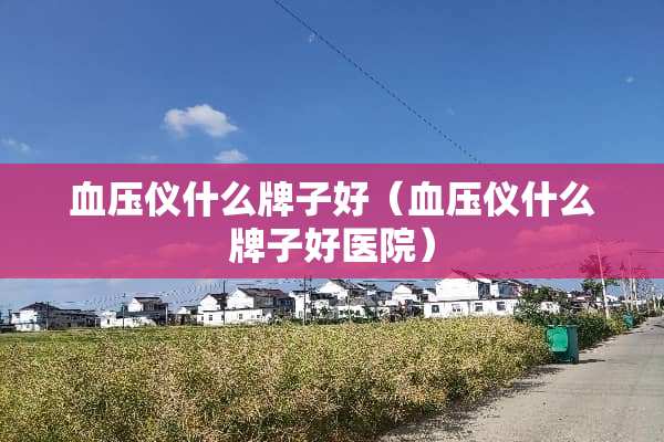 血压仪什么牌子好（血压仪什么牌子好医院）