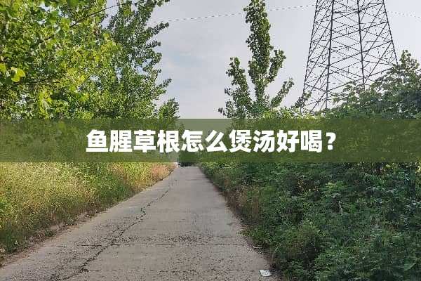鱼腥草根怎么煲汤好喝？