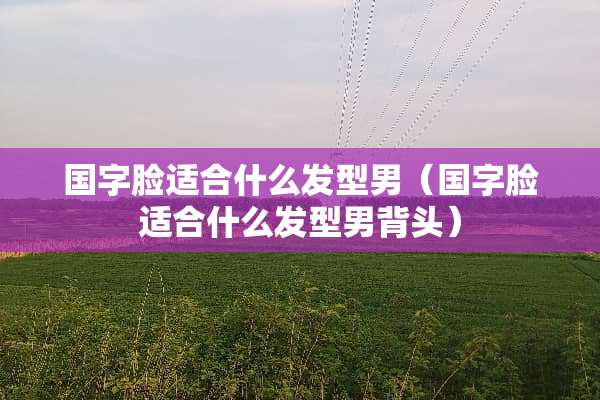 国字脸适合什么发型男（国字脸适合什么发型男背头）