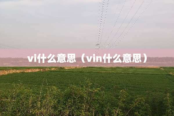 vi什么意思（vin什么意思）