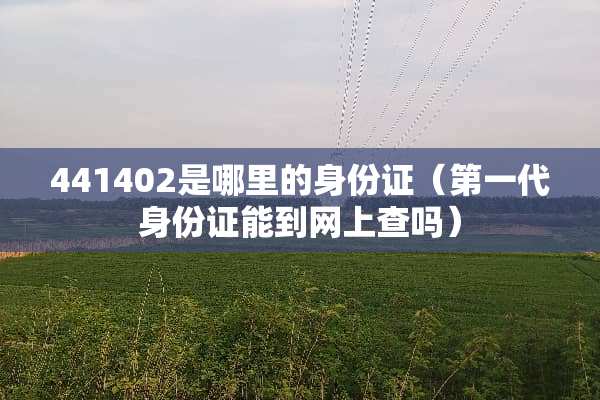 441402是哪里的***（第一代***能到网上查吗）