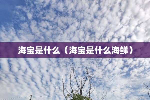海宝是什么（海宝是什么海鲜）