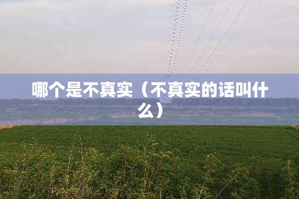 哪个是不真实（不真实的话叫什么）
