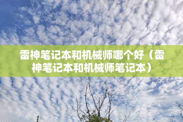 雷神笔记本和机械师哪个好（雷神笔记本和机械师笔记本）