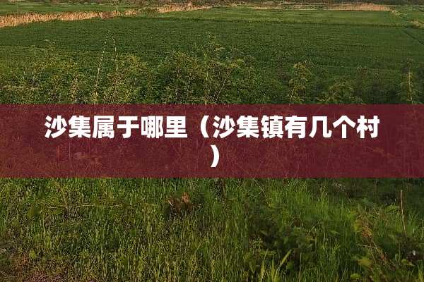 沙集属于哪里（沙集镇有几个村）