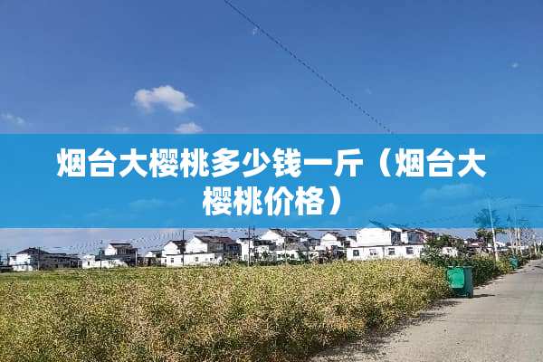 烟台大樱桃多少钱一斤（烟台大樱桃价格）