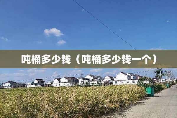 吨桶多少钱（吨桶多少钱一个）