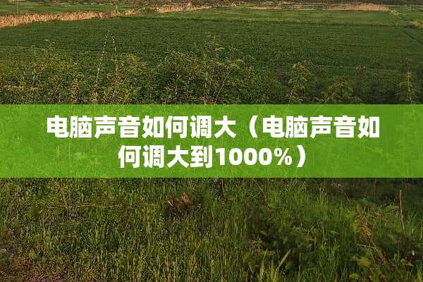 电脑声音如何调大（电脑声音如何调大到1000%）