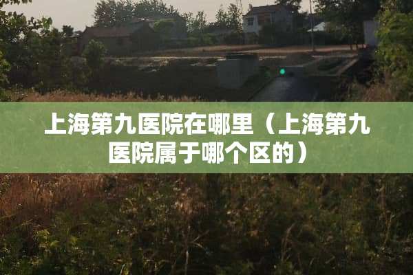 上海第九医院在哪里（上海第九医院属于哪个区的）