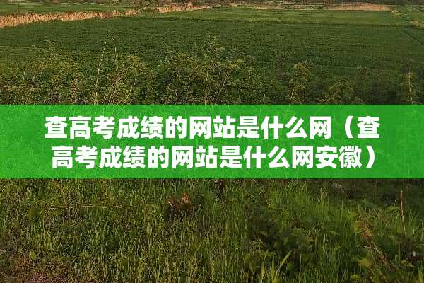 查高考成绩的网站是什么网（查高考成绩的网站是什么网安徽）