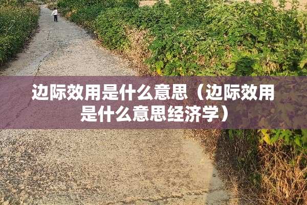 边际效用是什么意思（边际效用是什么意思经济学）