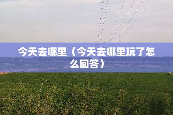 今天去哪里（今天去哪里玩了怎么回答）