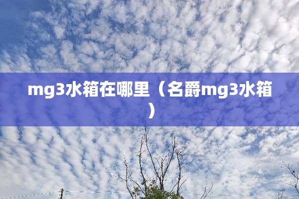 mg3水箱在哪里（名爵mg3水箱）