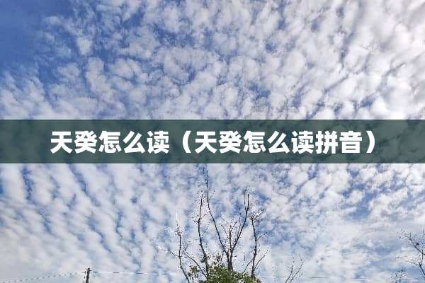 天癸怎么读（天癸怎么读拼音）