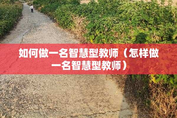 如何做一名智慧型教师（怎样做一名智慧型教师）