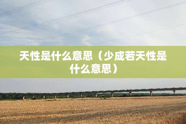 天性是什么意思（少成若天性是什么意思）