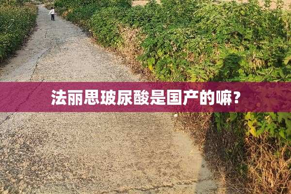 法丽思玻尿酸是国产的嘛？