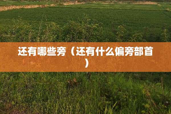 还有哪些旁（还有什么偏旁部首）