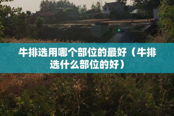 牛排选用哪个部位的最好（牛排选什么部位的好）