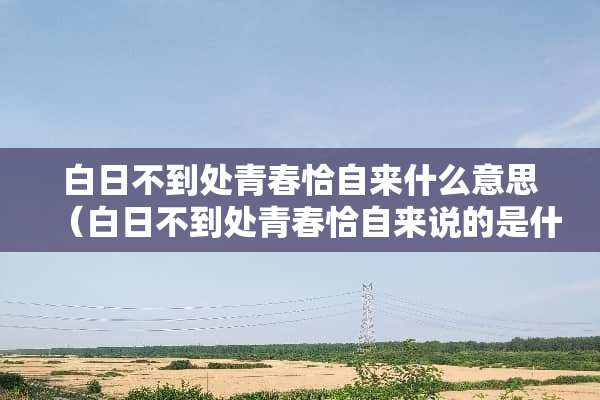 白日不到处青春恰自来什么意思（白日不到处青春恰自来说的是什么）