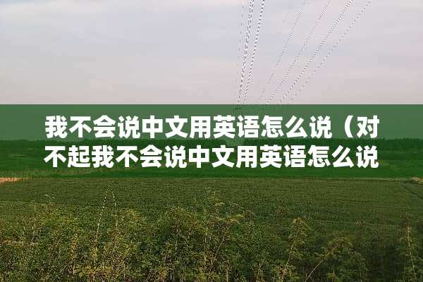 我不会说中文用英语怎么说（对不起我不会说中文用英语怎么说）