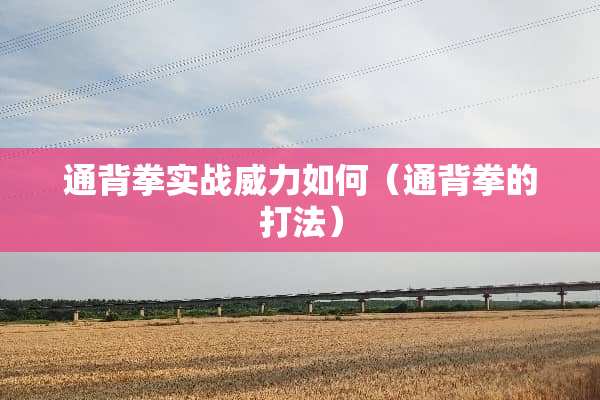 通背拳实战威力如何（通背拳的打法）